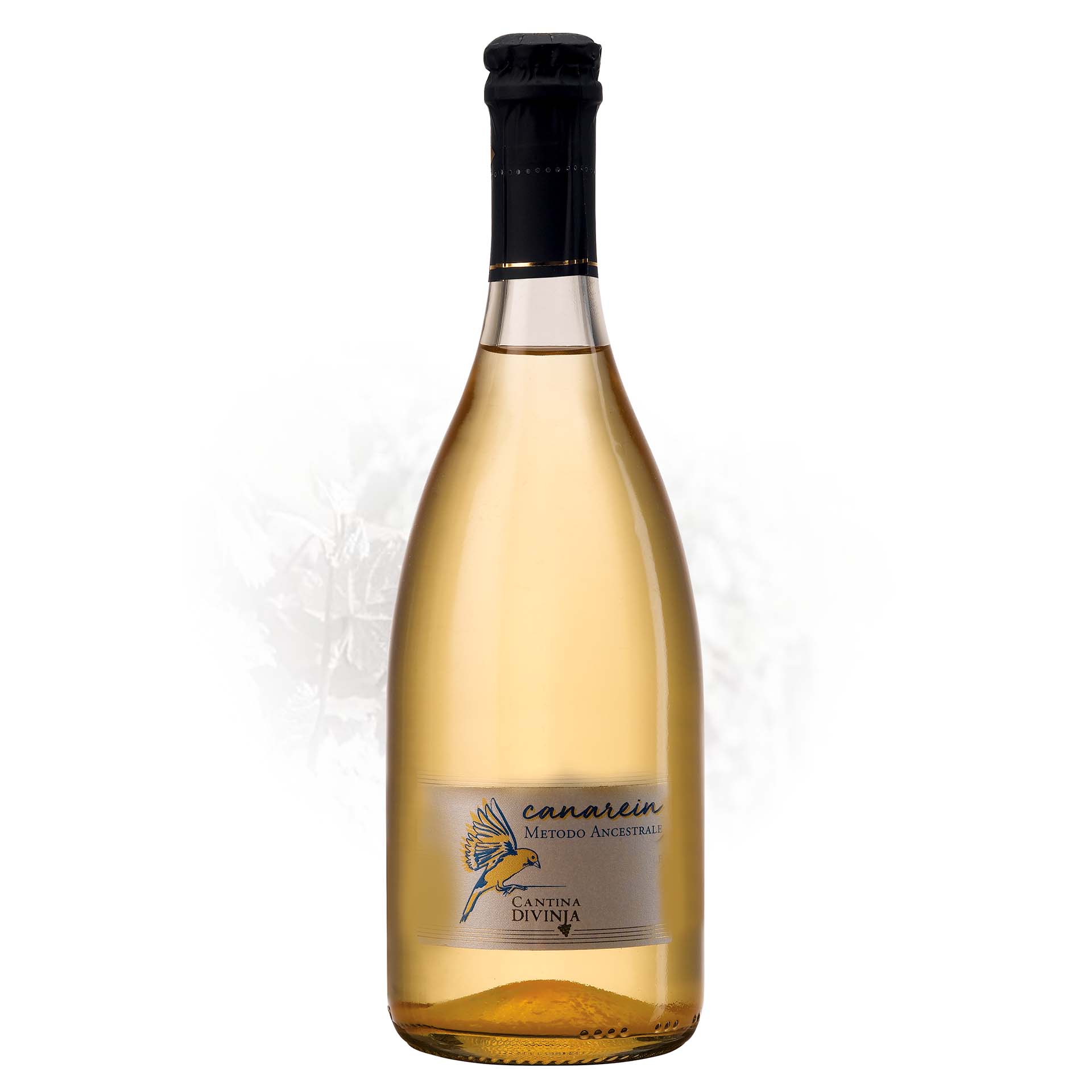 Canarein - Vino Frizzante Secco