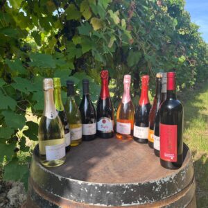 Degustazione Full