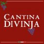cropped-logo-cantina-divinja-1.jpg